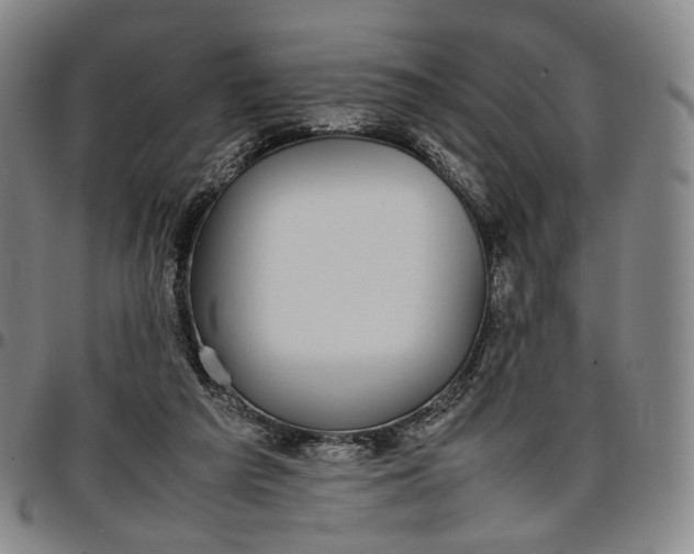 X0000096650209200802191250