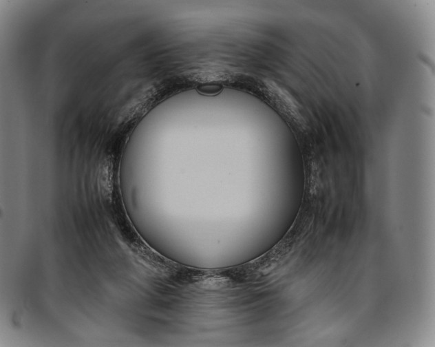 X0000096650210200802191250