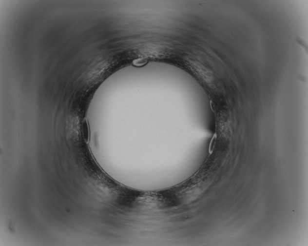 X0000096650211200802191250