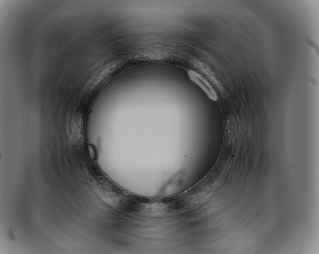 X0000096650212200802191250