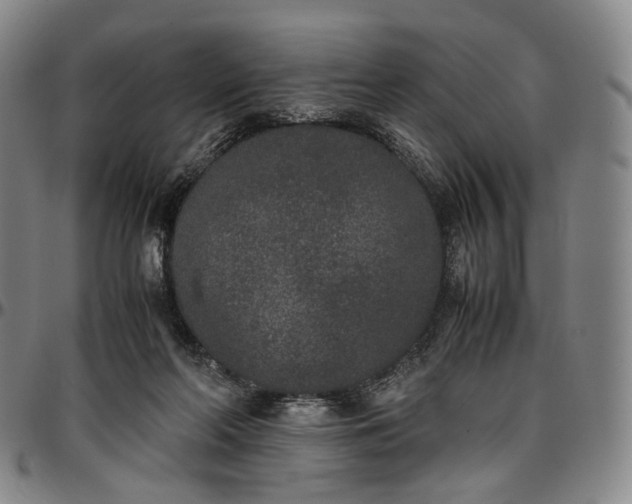 X0000096650214200802191250