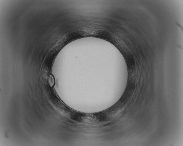 X0000096650215200802191250