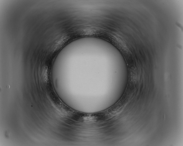 X0000096650216200802191250