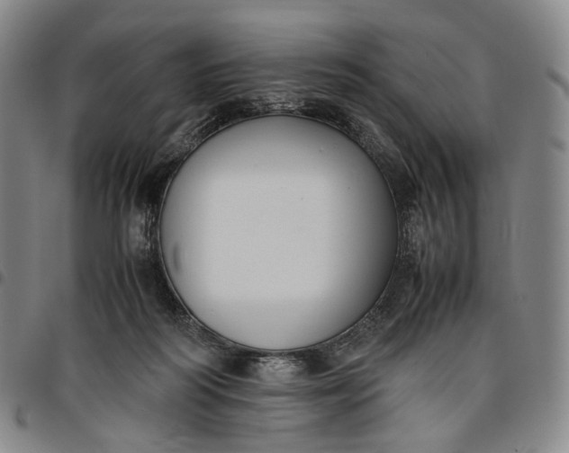 X0000096650218200802191250