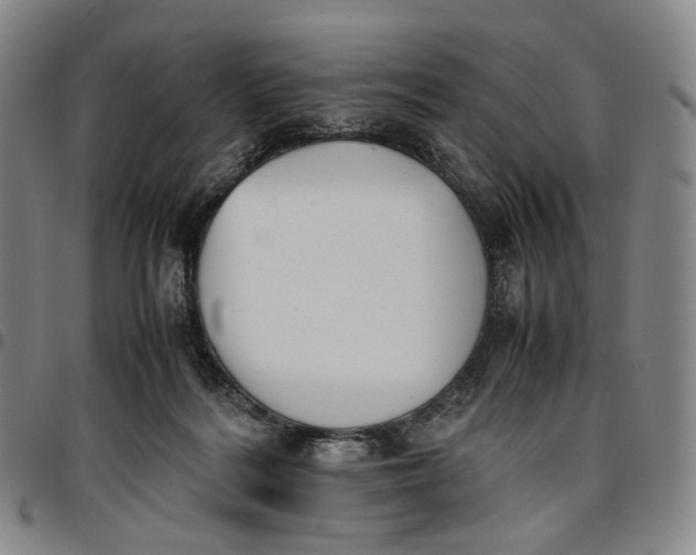 X0000096650220200802191250