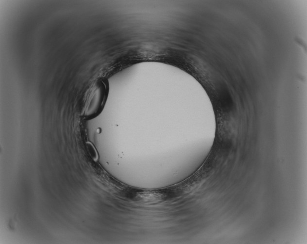 X0000096650221200802191250