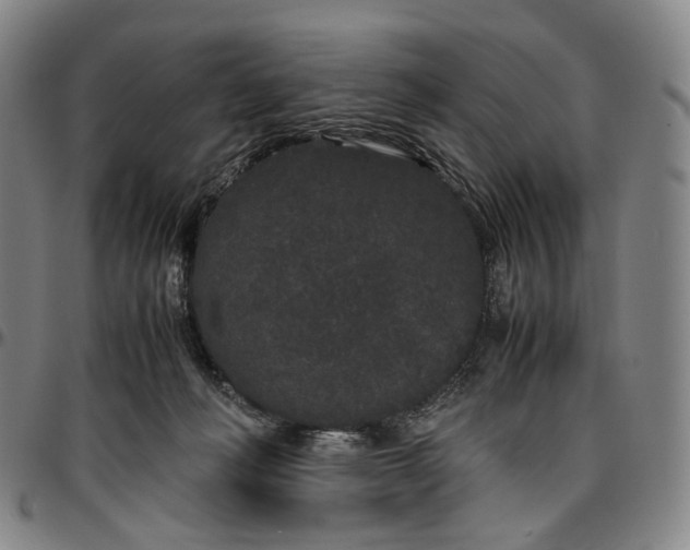 X0000096650222200802191250