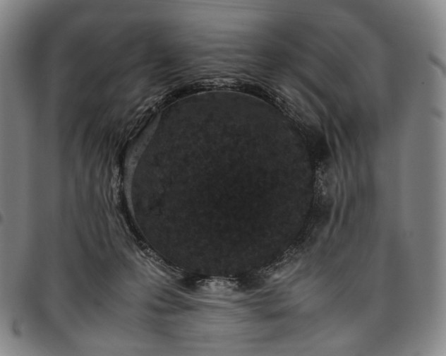 X0000096650223200802191250