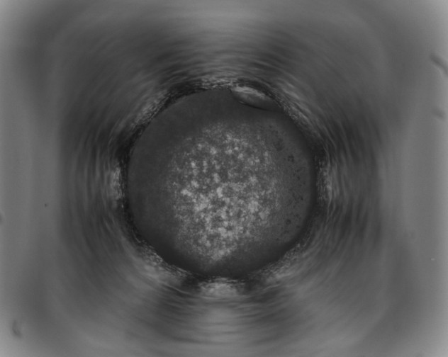 X0000096650224200802191250