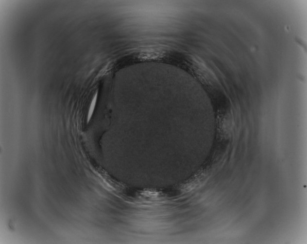 X0000096650227200802191250