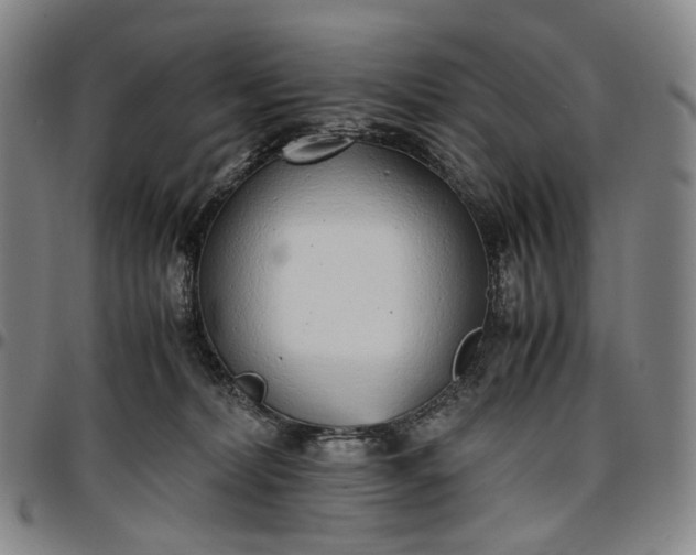 X0000096650228200802191250