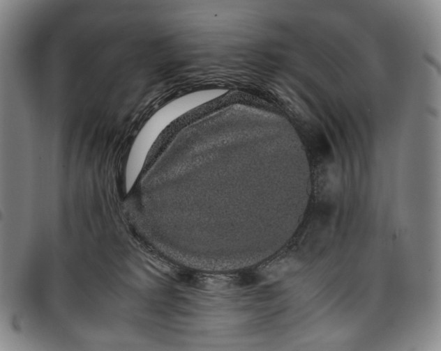 X0000096650229200802191250