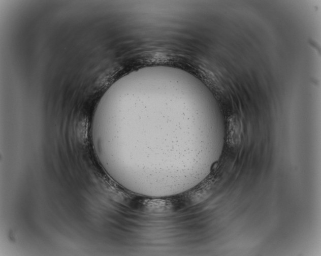 X0000096650230200802191250