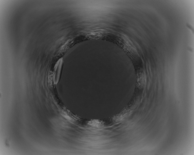 X0000096650231200802191250