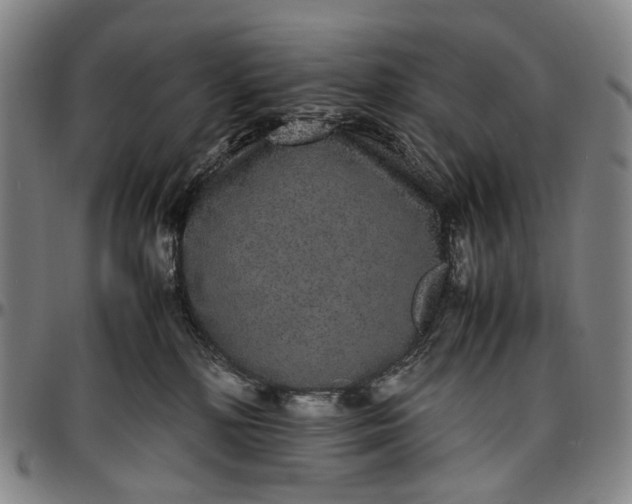 X0000096650232200802191250