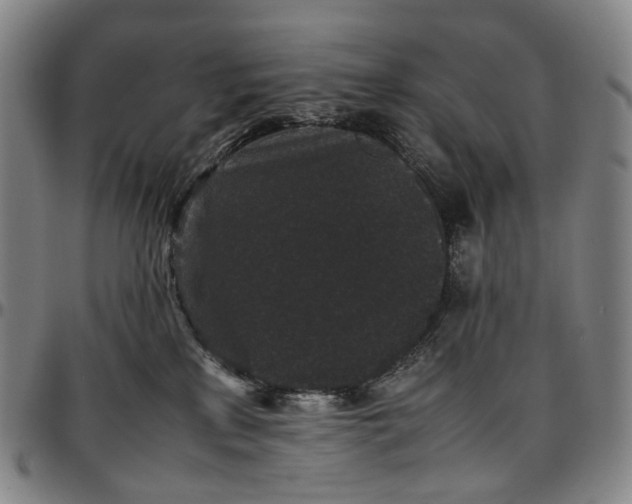 X0000096650233200802191250