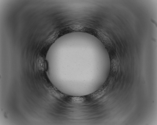 X0000096650234200802191250