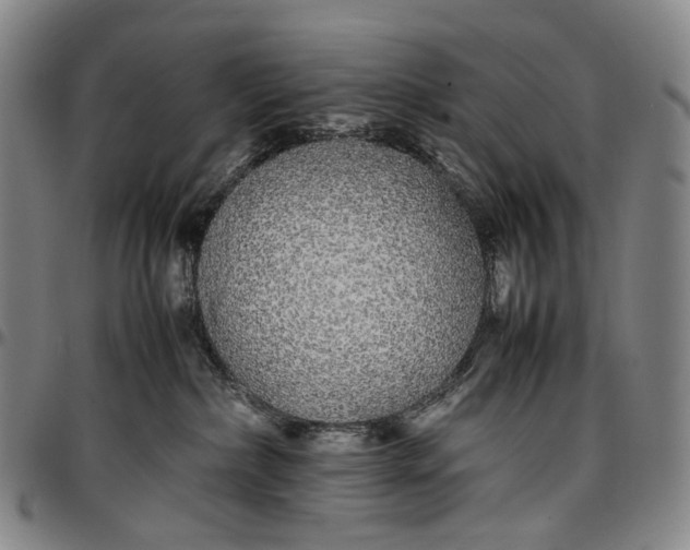 X0000096650236200802191250