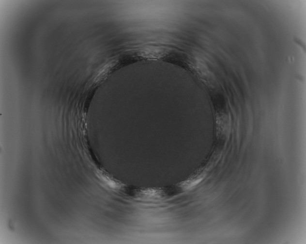 X0000096650237200802191250