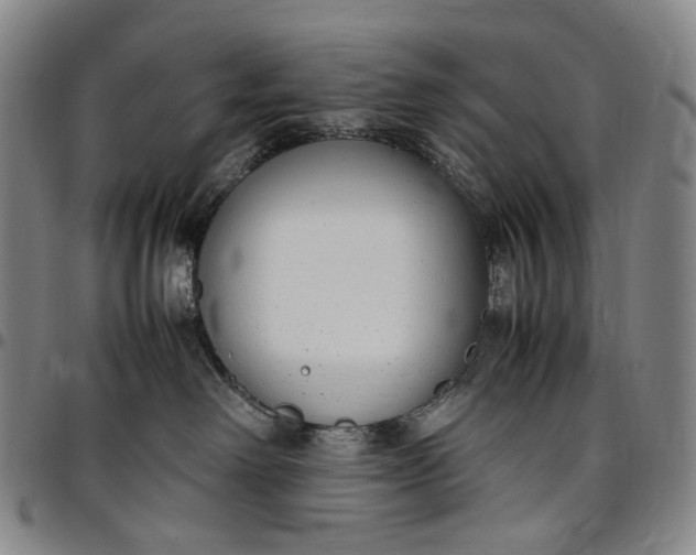 X0000096650238200802191250