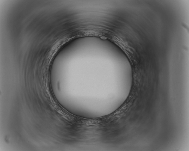 X0000096650241200802191249