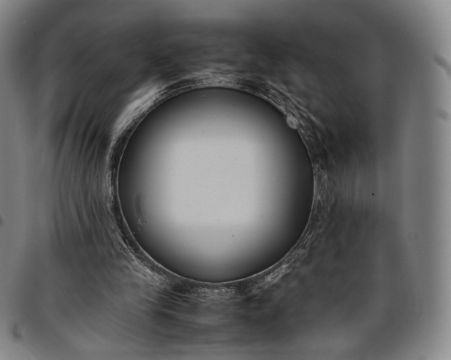 X0000096650245200802191249