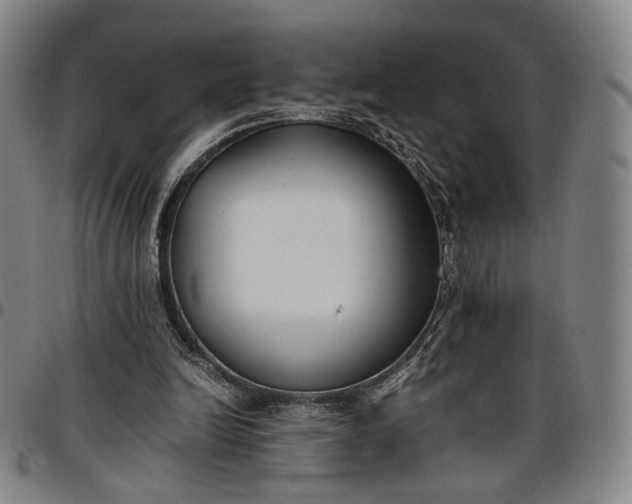 X0000096650246200802191249