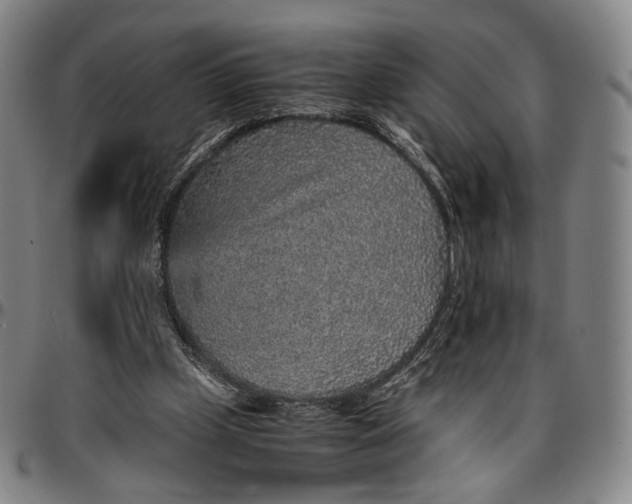 X0000096650249200802191249