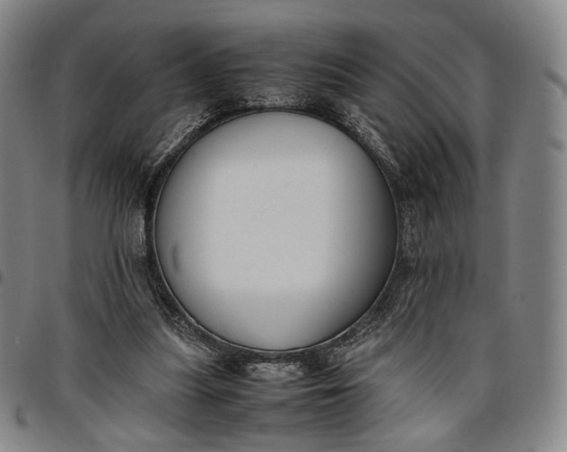 X0000096650251200802191249