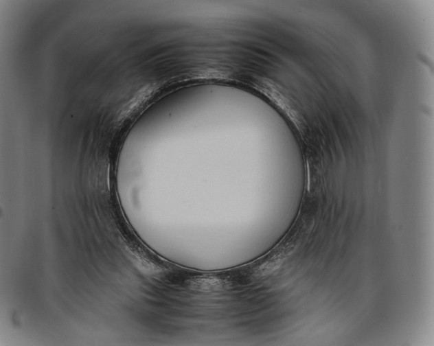 X0000096650253200802191249