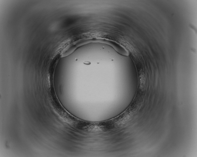 X0000096650254200802191249