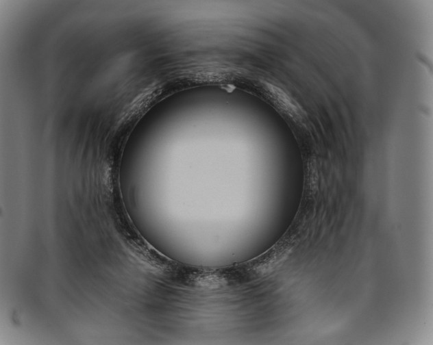 X0000096650258200802191249