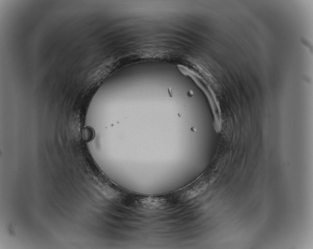 X0000096650261200802191249