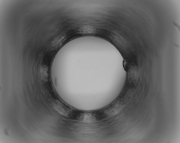 X0000096650264200802191249