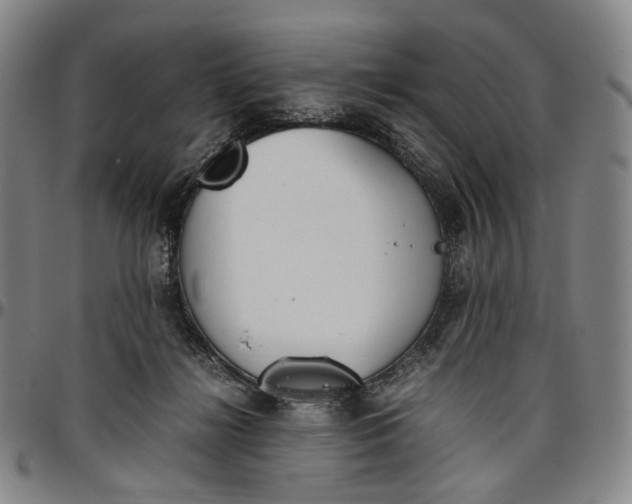 X0000096650268200802191249