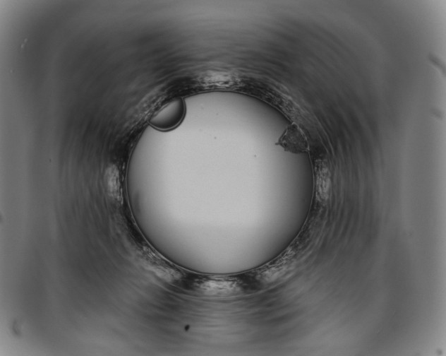 X0000096650270200802191250