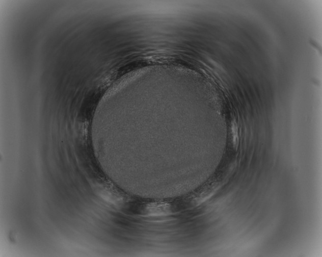 X0000096650271200802191250