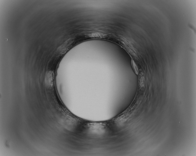 X0000096650273200802191250