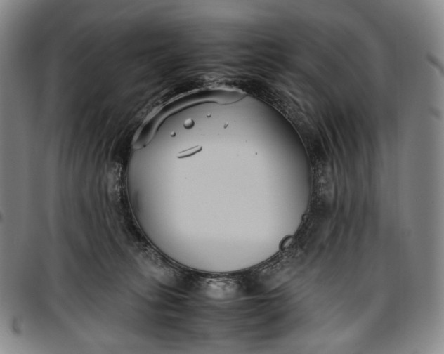 X0000096650275200802191250