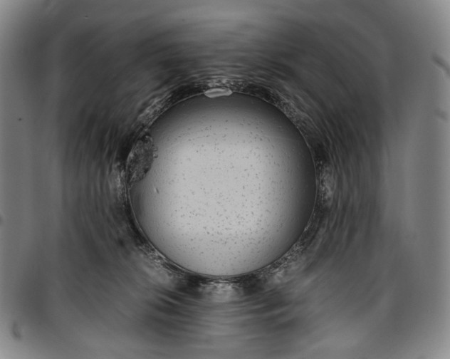 X0000096650276200802191250