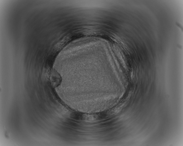 X0000096650277200802191250