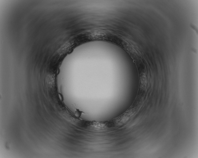 X0000096650278200802191250