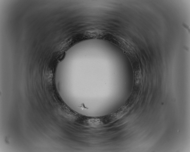 X0000096650279200802191250