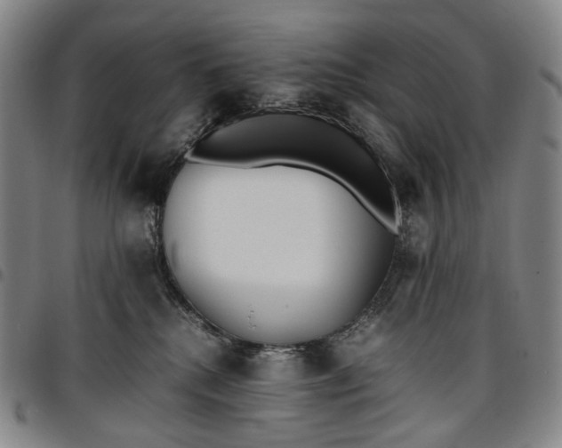 X0000096650280200802191250