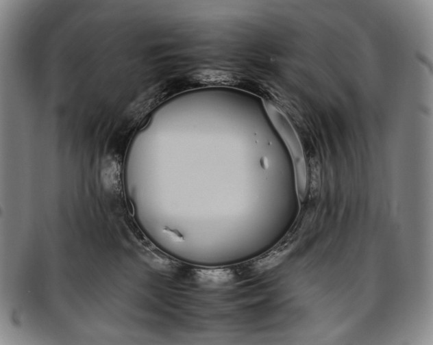 X0000096650281200802191250