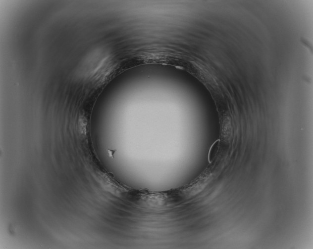 X0000096650282200802191250