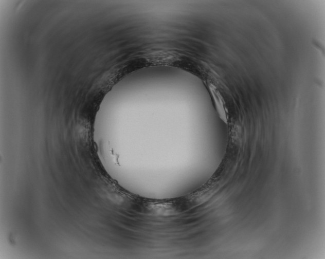 X0000096650283200802191250