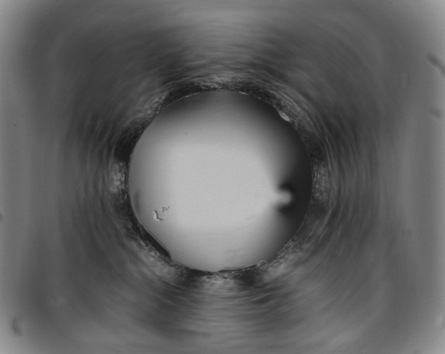 X0000096650284200802191250