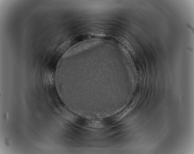 X0000096650285200802191250