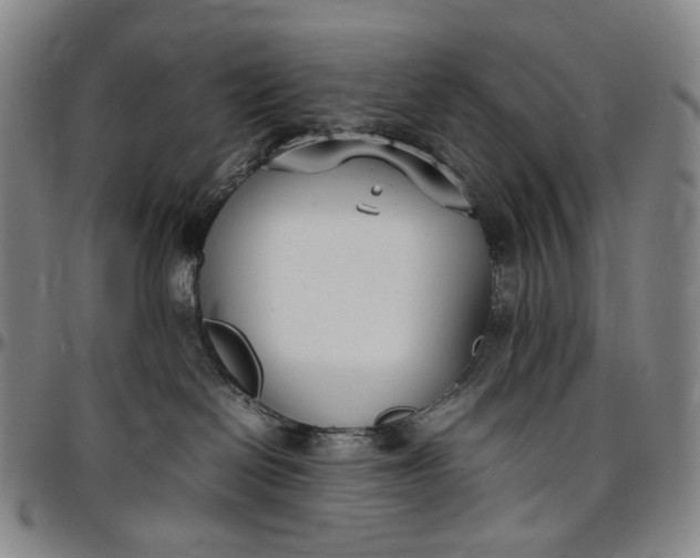 X0000096650286200802191250